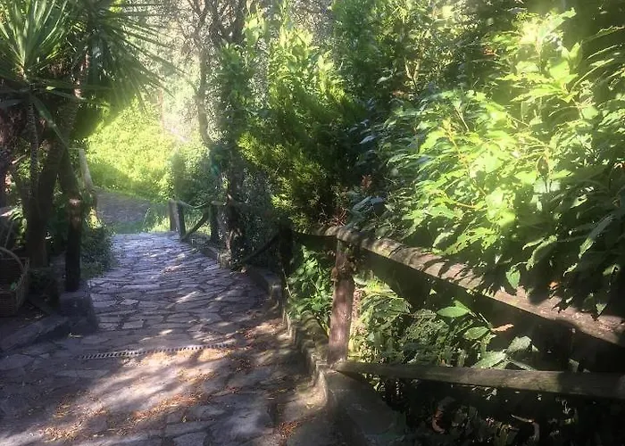 Azalea 别墅 Montale (Liguria)