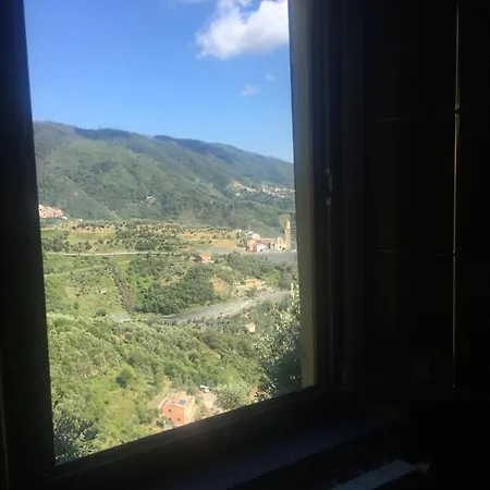 Azalea * Montale (Liguria)