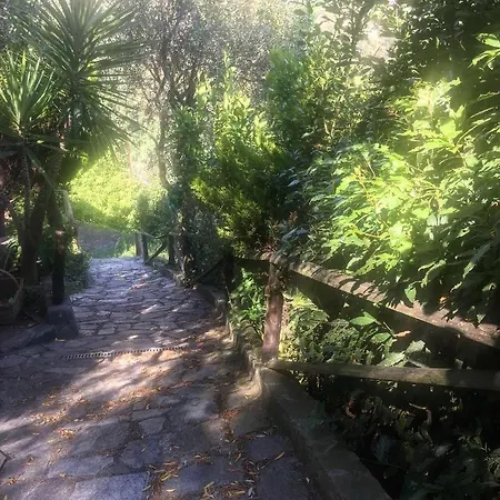 Azalea Villa Montale (Liguria)