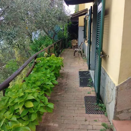 Villa Azalea *