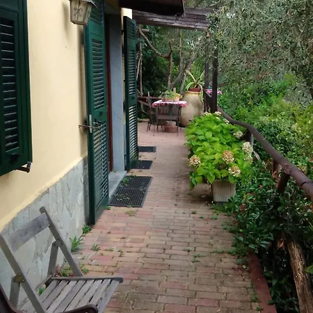 Villa Azalea