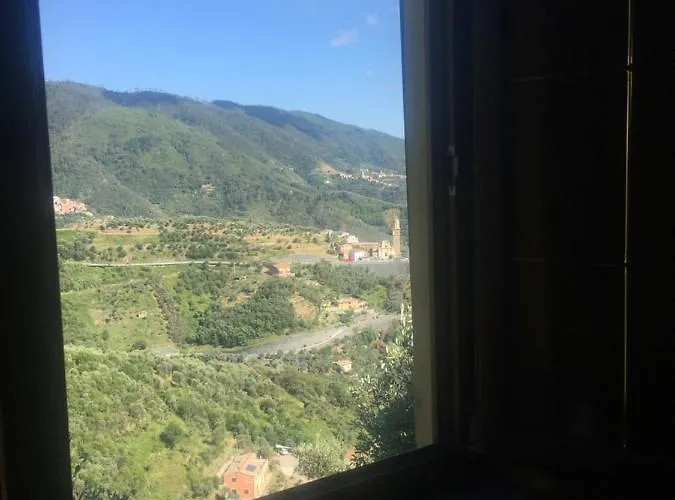 Azalea * Montale (Liguria)